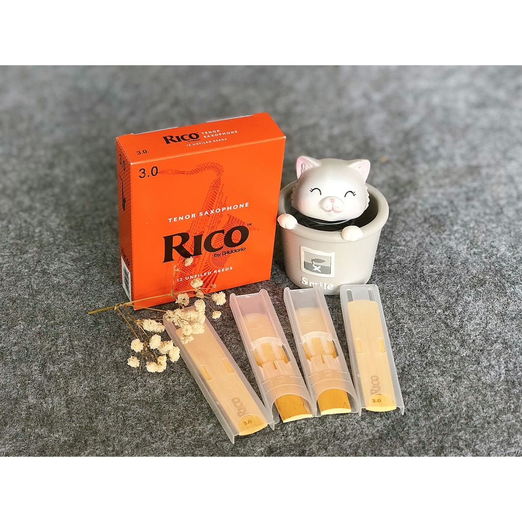 Dăm kèn Saxophone Tenor Rico