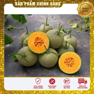 -20 % COMBO 05 LOẠI DƯA NGON NGỌT NHẤT