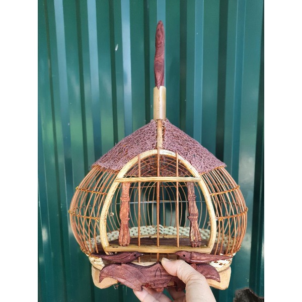 GÁY ĐAN MÂYgiá rẻ nhất