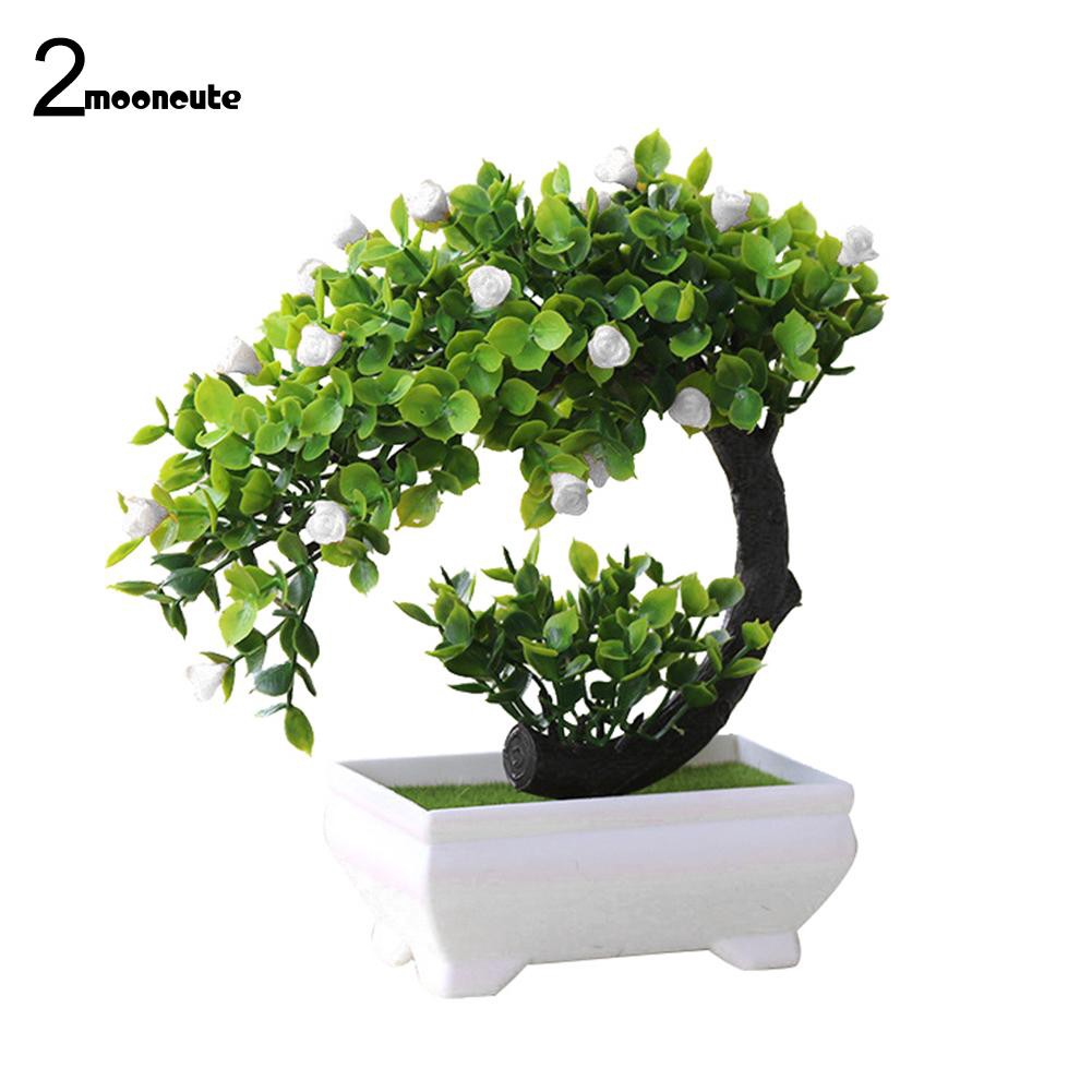 Cây bonsai giả trang trí