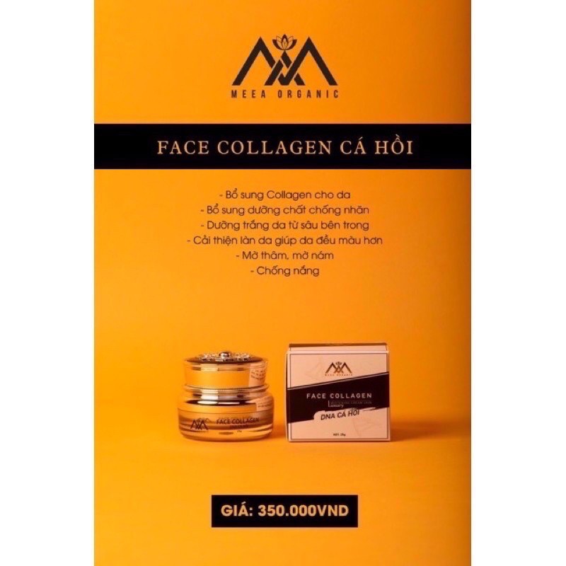 COMBO KEM FACE COLLAGEN CÁ HỒI ADN