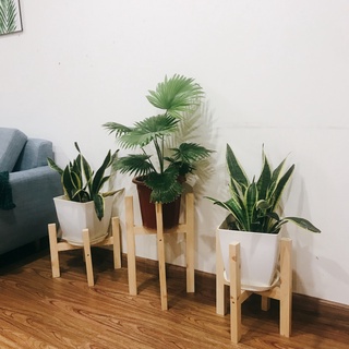 Đôn Gỗ Cây Cảnh - Giá Đỡ Chậu Cây Cảnh Trong Nhà Nhiều Kích Thước Chất Liệu Gỗ Thông Nhập Khẩu