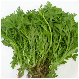 Hạt giống cải cúc 20gr (rau tần ô) HN