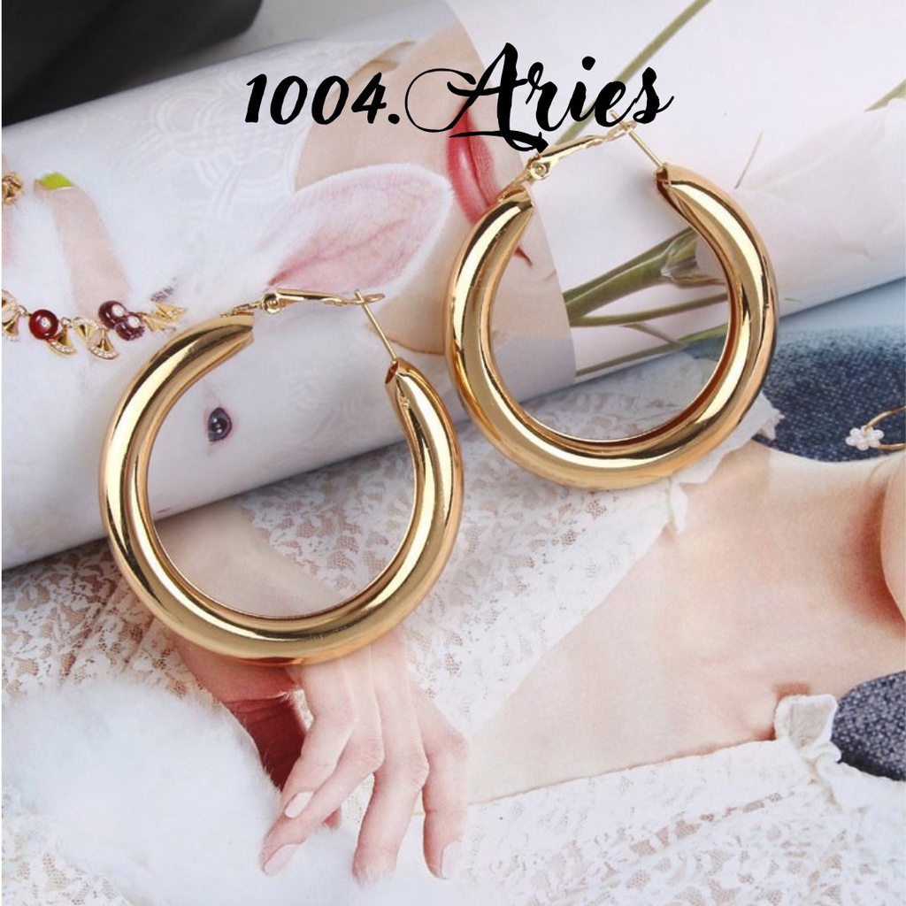 Bông tai tròn /xoắn cá tính cho nữ -1004 ARIES