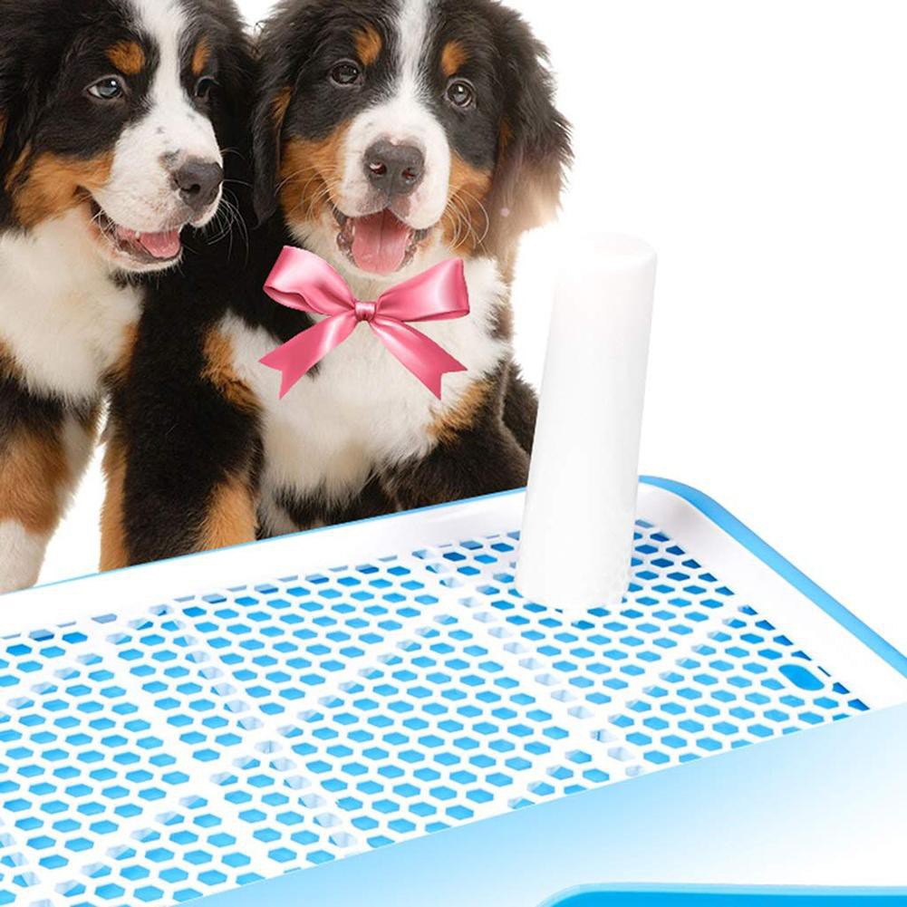 HCM- Khay vệ sinh cho chó lớn dạng khay dẹt có lưới (2 size - màu ngẫu nhiên )+ Tặng 3 tấm tã giấy lót chuồng, sàn xe
