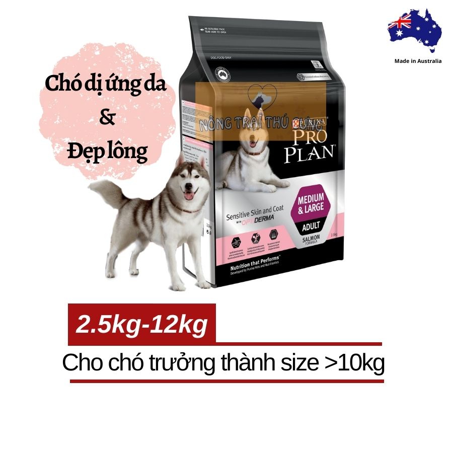 Hạt Cho Chó Dị Ứng Da Giảm Rụng Lông Giảm Ngứa PURINA Pro Plan - Phù Hợp Giống Alaska, Husky, Golden, Samoyed, Becgie