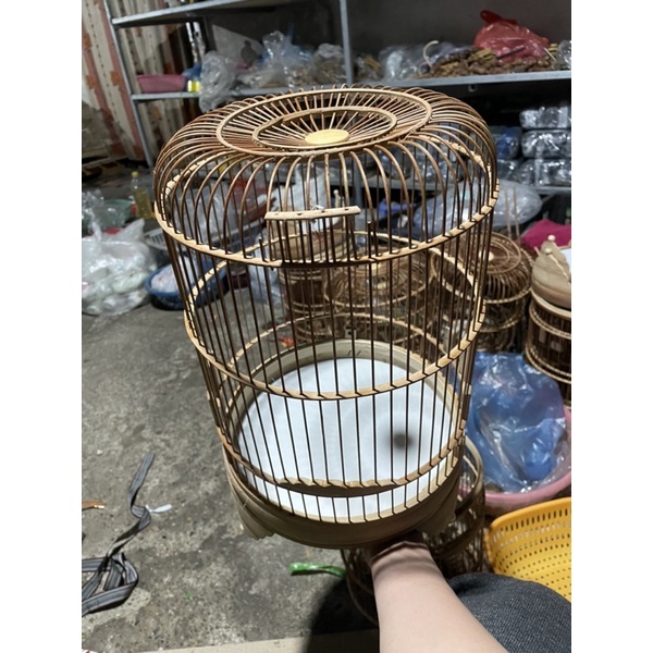 Lồng Chim Khuyên , Tiểu Mi Nan Trúc Cật Đẹp Siêu Rẻ