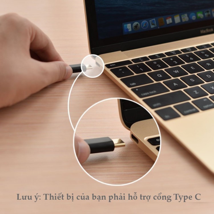 Cáp USB Type C to USB 2.0 dài 3m chính hãng Ugreen 30162 - 30162