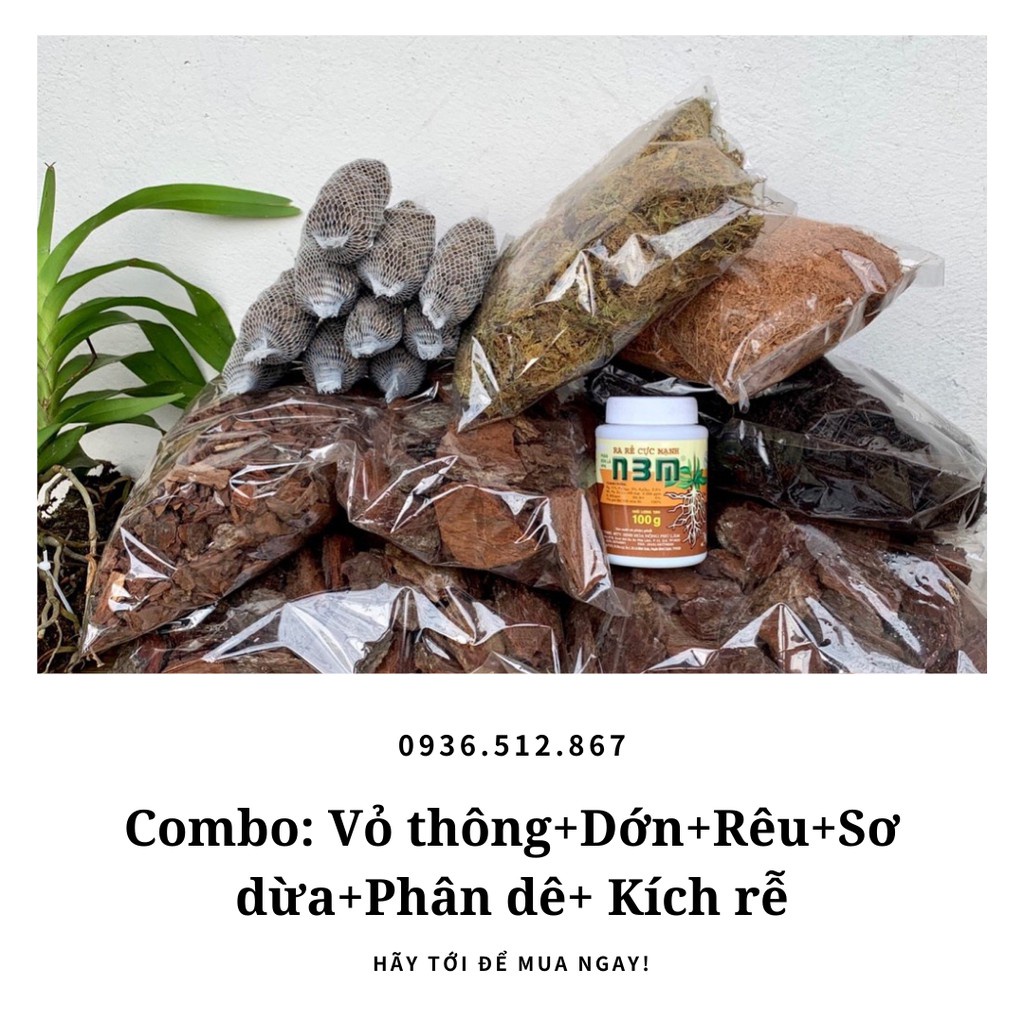 Combo 10-15 Chậu Giá Thể Trồng Lan - Đầy Đủ - Đã Qua Xử Lý