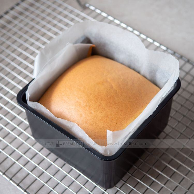 Khuôn Vuông Thành Cao Chống Dính Breadleaf