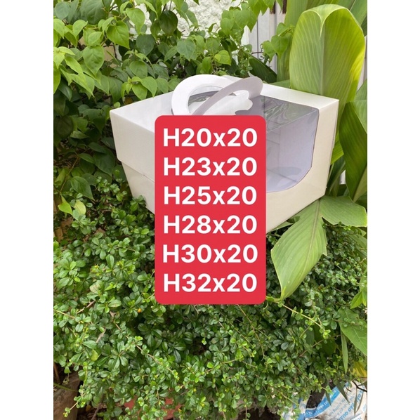 10 hộp size 20x20x20, hộp bánh sinh nhật giá rẻ