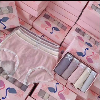 Sét 5 quần chíp cotton mềm mại -set 5 quần chíp hạc hồng