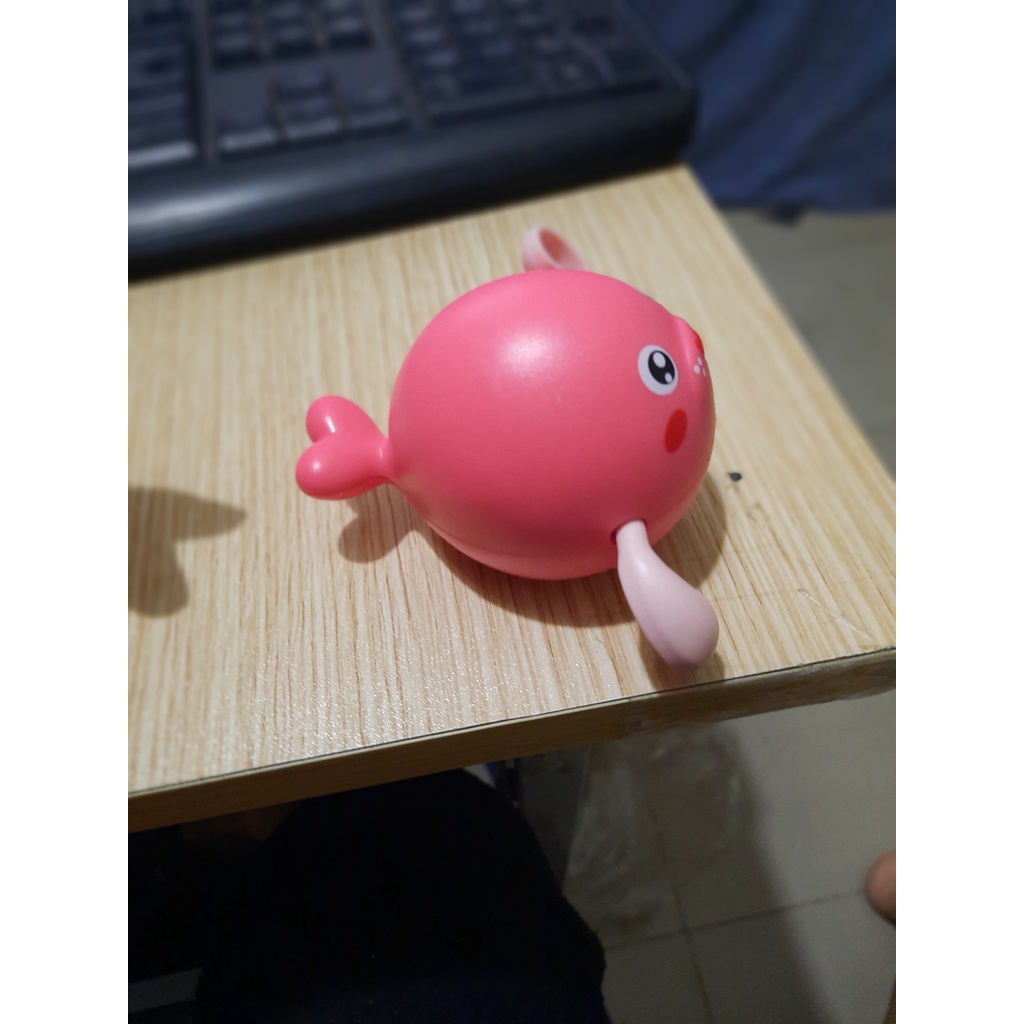 rùa, cá heo bơi dưới nước | BigBuy360 - bigbuy360.vn