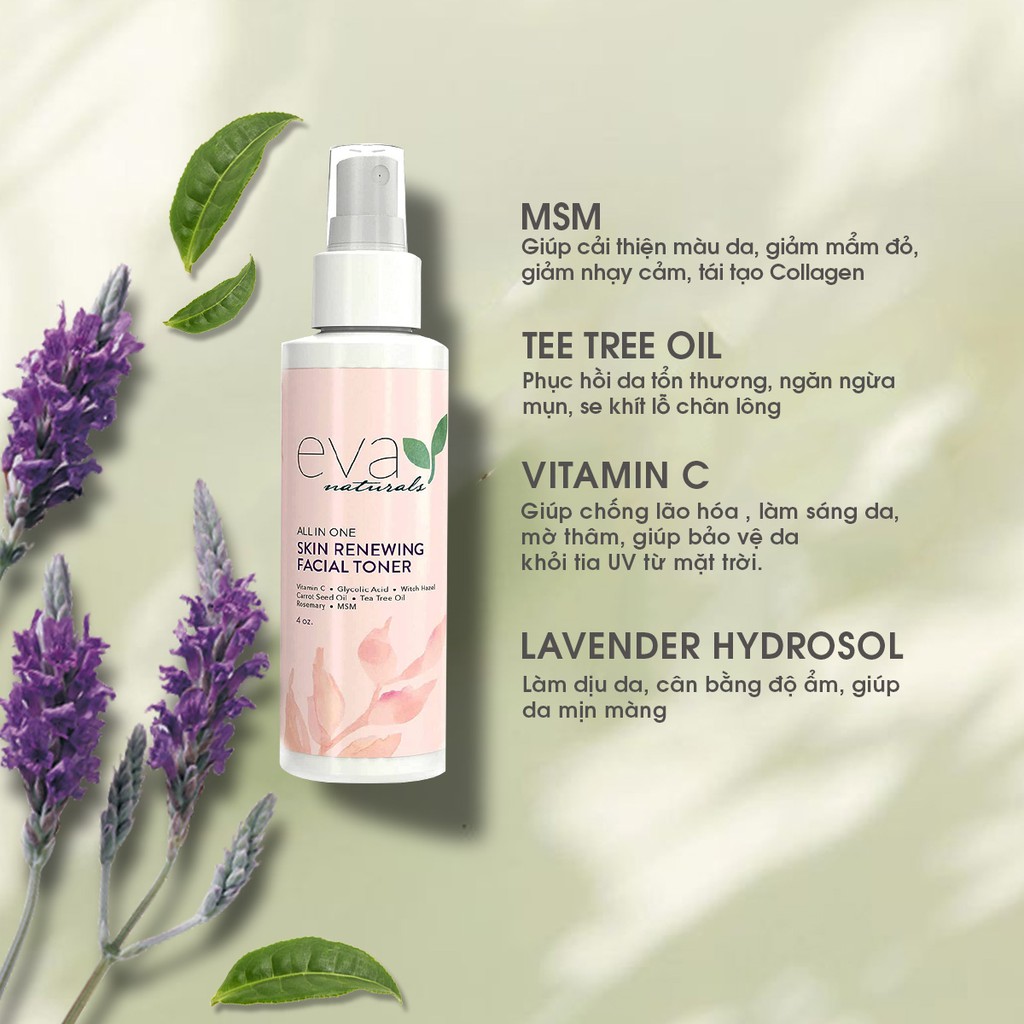 Nước Hoa Hồng Cân Bằng Độ Ẩm và Ngừa Mụn Eva Naturals Skin Renewing Facial Toner 120ml | BigBuy360 - bigbuy360.vn