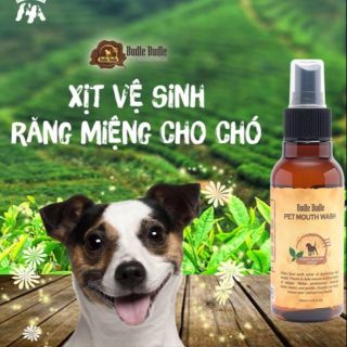 🐶 Xịt vệ sinh răng miệng cho chó Budle Budle