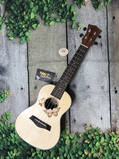 Đàn Ukulele Concert MTB-800 CB1