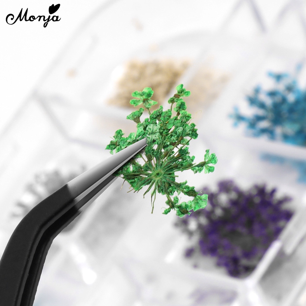 [Hàng mới về] Hoa khô 3d nhiều màu trang trí móng tay nghệ thuật Monja
