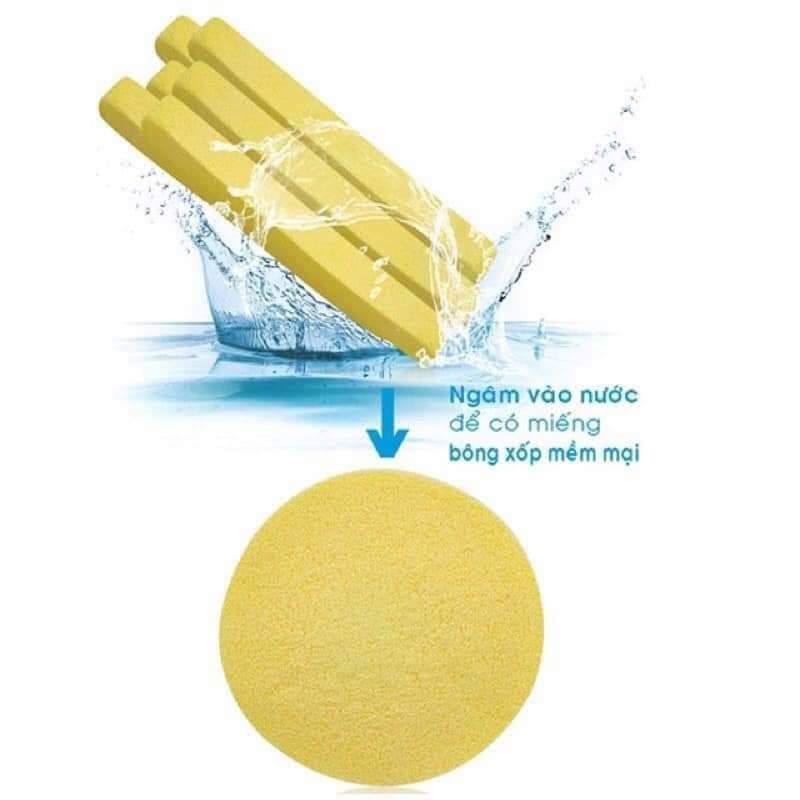 BÔNG NỞ RỬA MẶT CHIVEY Gói 12 miếng (Mút bọt biển)