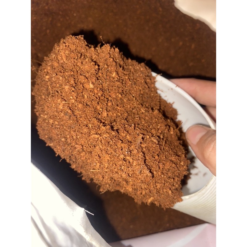 Cocopeat - Xơ Dừa Đã Xử Lý - Nguyên Liệu Trộn Đất Trồng Cây