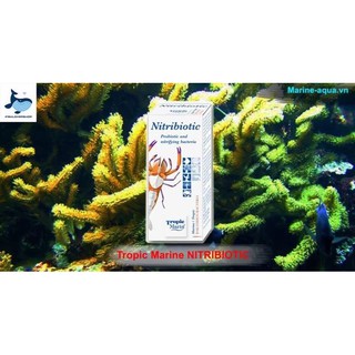 Tropic marin nitribiotic – vi sinh probiotic và nitrat hóa cho hồ cá nước mặn và nước ngọt