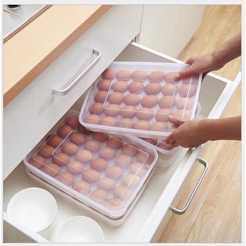 HỘP ĐỰNG TRỨNG VIỆT NHẬT 24 QUẢ