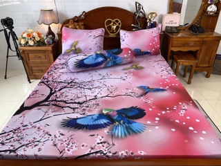Drap thun lạnh Ý 5 D