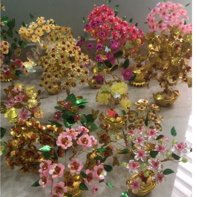 cây kim tiền thành phẩm
