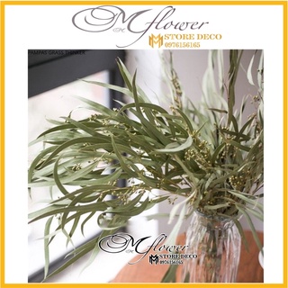 Lá khô tự nhiên hoa khô Bắc Âu đơn giản lá bạch đàn khô trang trí cắm hoa Bạch đàn bắc âu