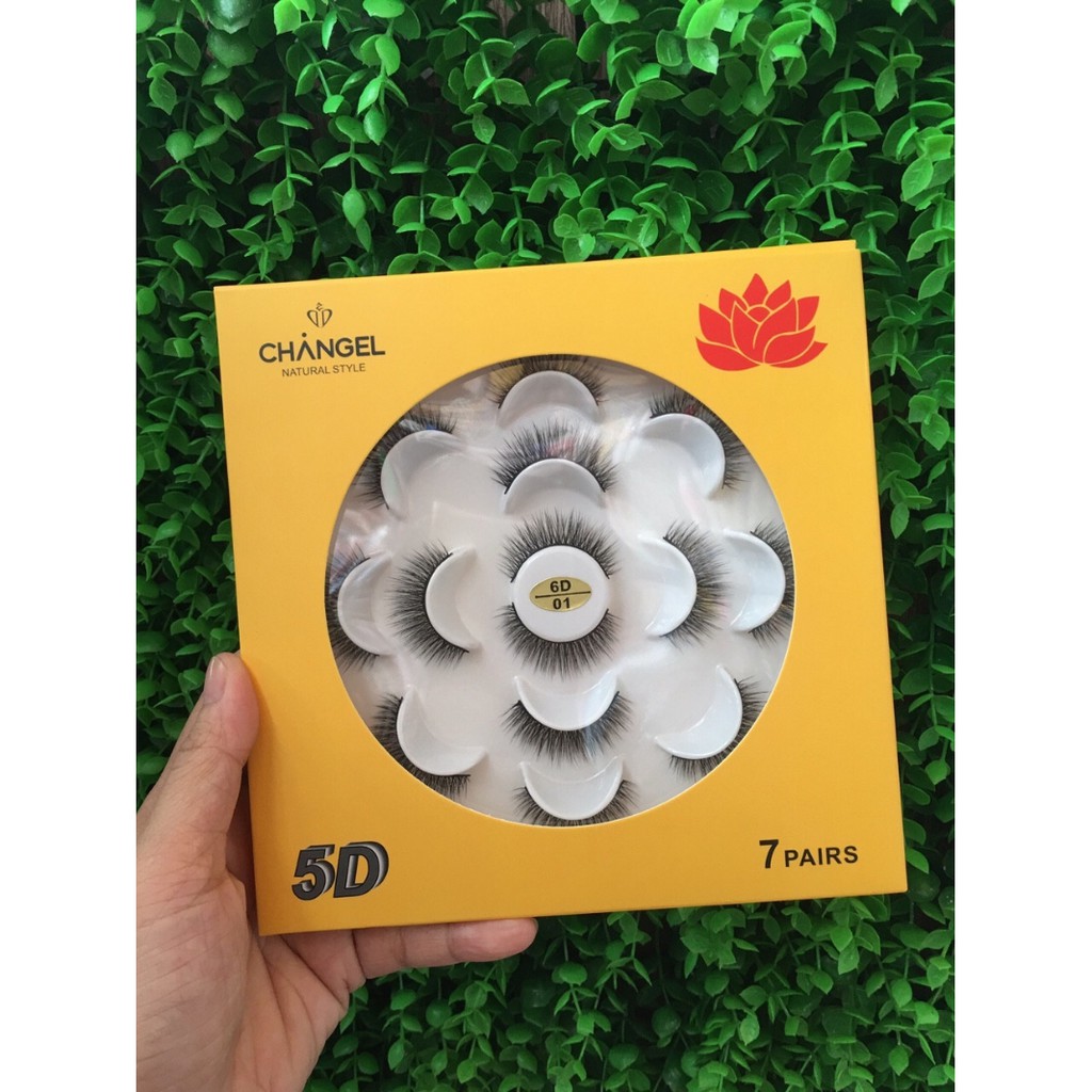 Hộp mi giả 5D - V27 - BX0116