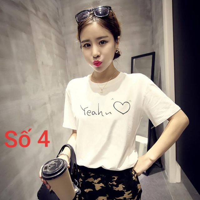Áo phông trắng họa tiết (11 mẫu) - AP21