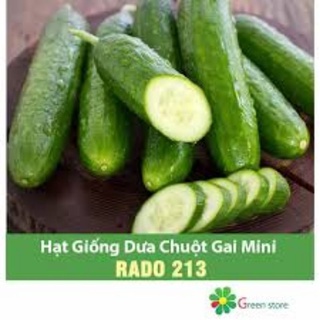 HẠT GIỐNG DƯA CHUỘT MINI RD213