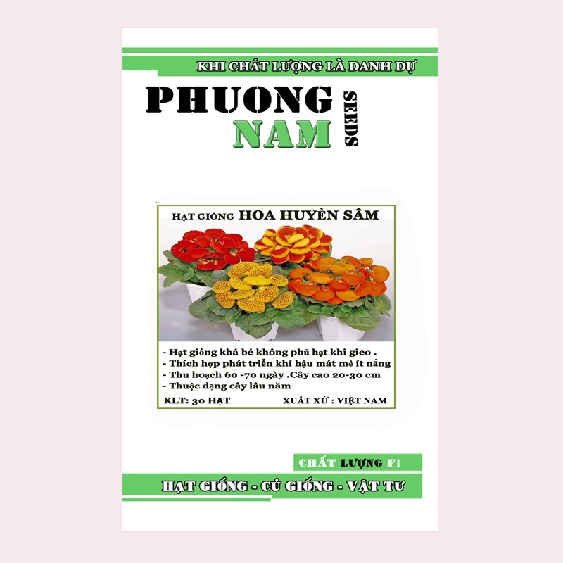 30H - HẠT GIỐNG HOA HUYỀN SÂM