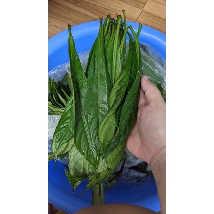 Chả lá xương sông Hà Nội