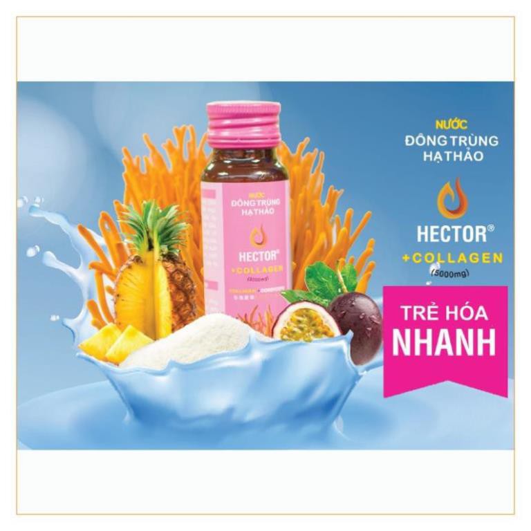 [Hector Collagen][1 hộp-10 CHAI] Nước Nấm Đông Trùng Hạ Thảo