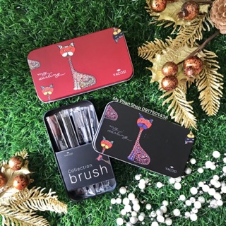 Bộ Cọ Trang Điểm Du Lịch Vacosi My Darling Travel Brush Set BC23 (6 cây)