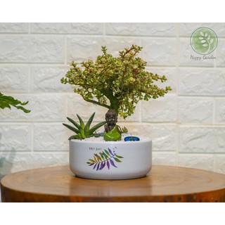 SET dola cổ thụ + Tượng Phật