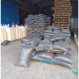 1 kg Cà Phê Nhân Xanh robusta (hạt chưa rang)