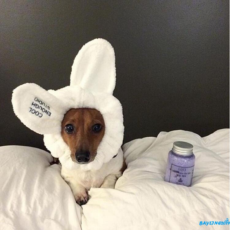 Băng Đô Tai Thỏ Đáng Yêu