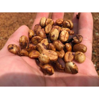 [500g] Cà phê Robusta bột xay sẵn - The Kaffeine Farm