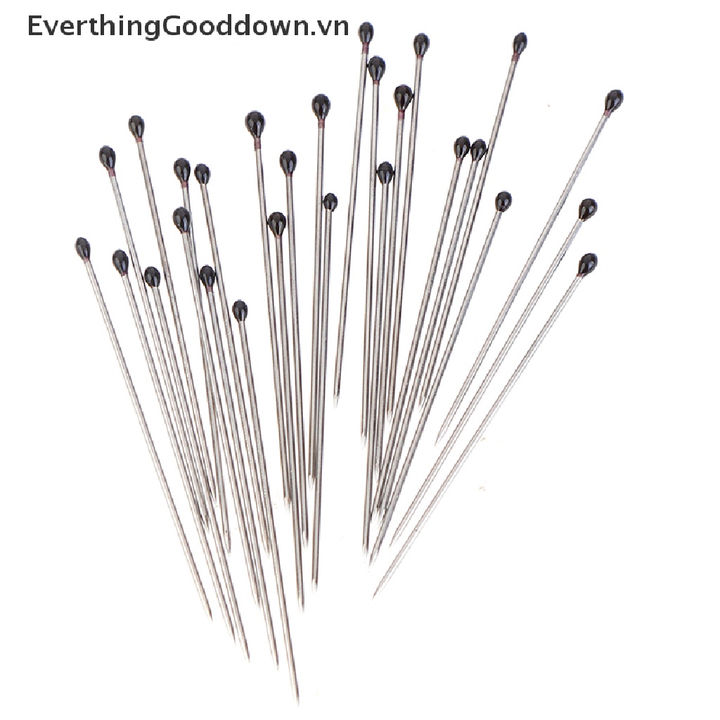 Everthinggooddown 100 Cây Ghim Côn Trùng Bằng Thép Không Gỉ Cho Phòng Thí Nghiệm Trường Học