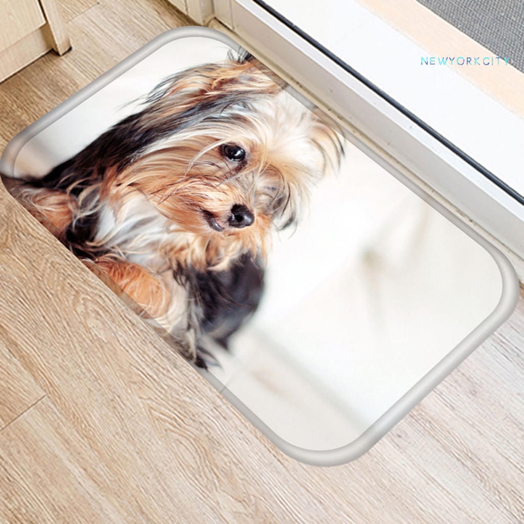 Thảm Chùi Chân Chống Ẩm Siêu Thấm Hút Tiện Dụng Cho Gia Đình