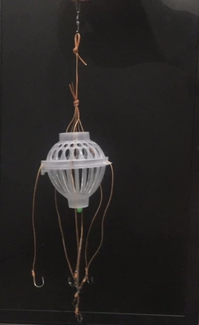 Lồng câu cá mè- bom mè