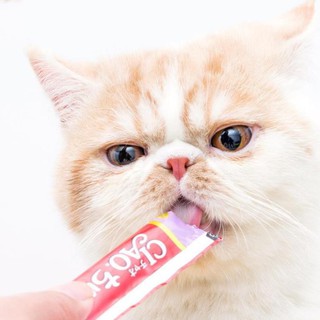 [Giao Hoả Tốc] PATE CHO MÈO CIAO CHURU THANH NHIỀU VỊ - Petco Mart
