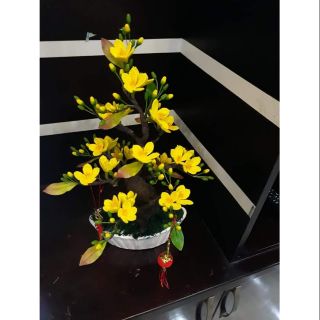 Bộ phụ kiện làm hoa mai, hoa đào
