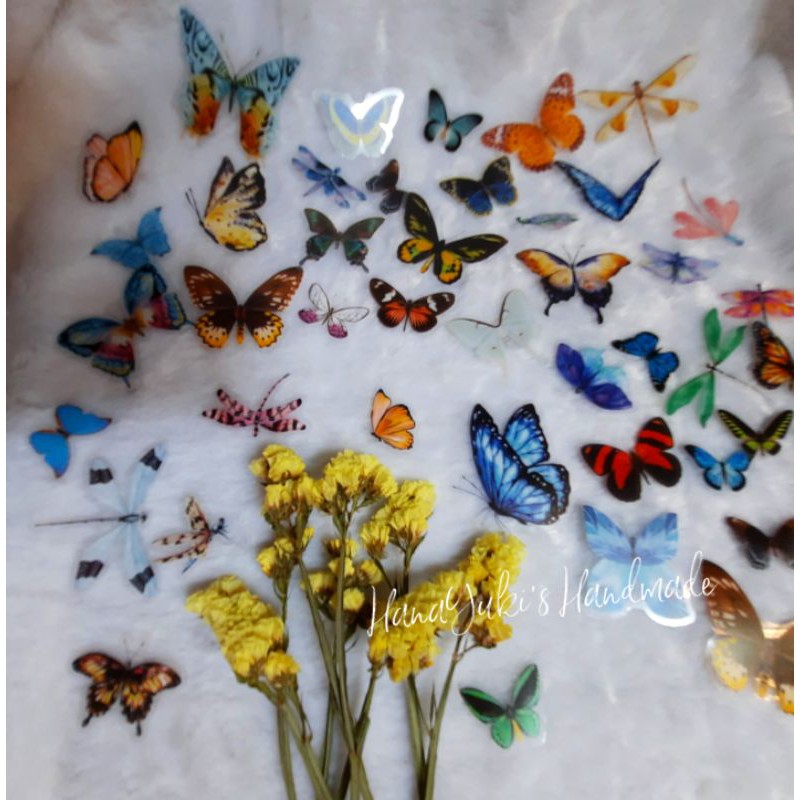 Set 40 sticker bươm bướm, chuồn chuồn dùng trong  handmade, trang trí, diy...