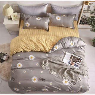 Bộ Chăn Ga Gối Cotton Basic