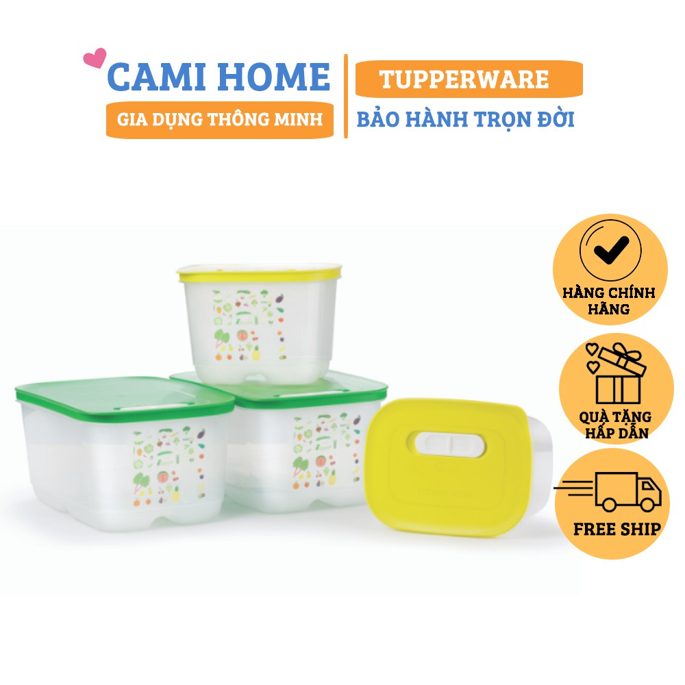 Bộ Hộp Trữ mát, Hộp Trữ Rau Củ Qủa Có Nút Hấp Ventsmart Set 4 Tupperware, Bộ Hộp Trữ Rau Qủa Lâu Ngày