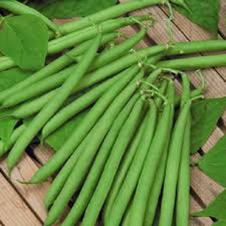 Hạt giống đậu trạch lai(50g)