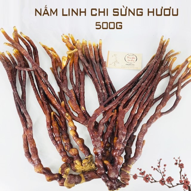 Nấm Linh Chi Sừng Hươu 500g