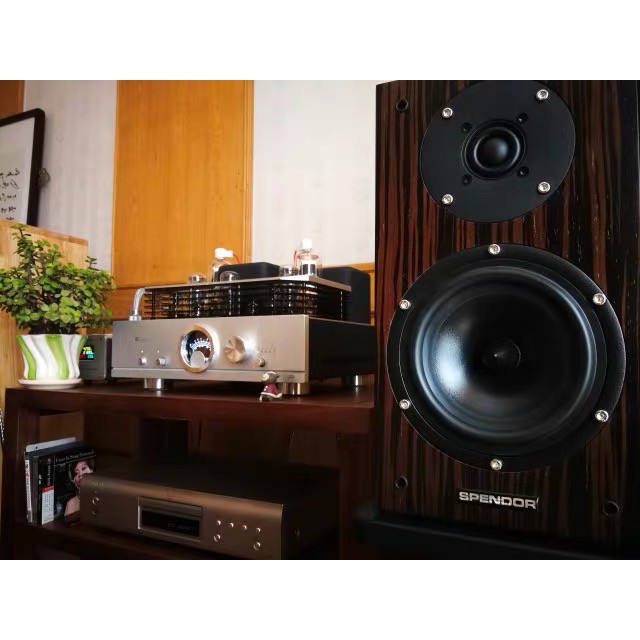 MUZISHARE R100 amply đèn sử dụng kết hợp bóng 300B và 845